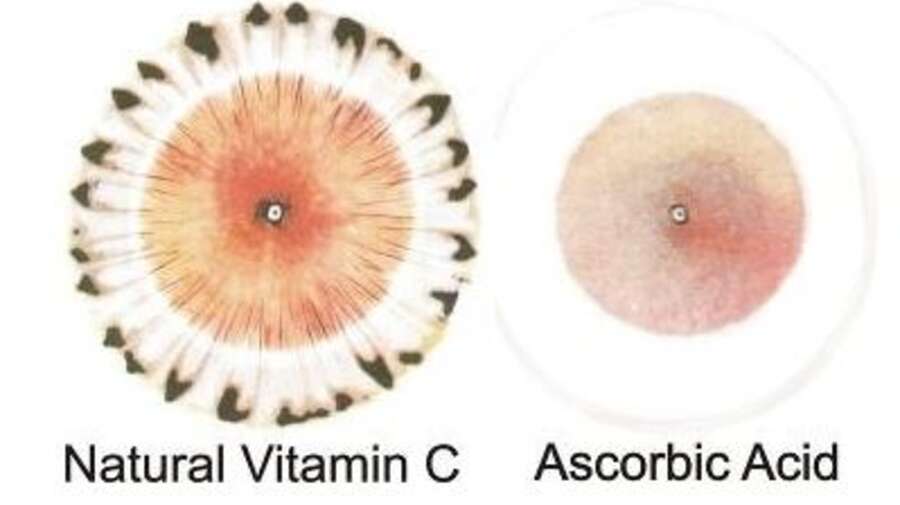 natural vs synthetic vitamins