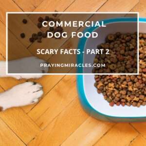 commercial dog food
