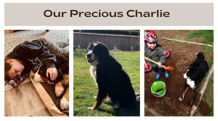 our precious charlie