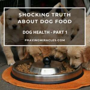 truth about dog food
