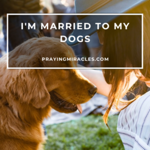 relationship with our pet