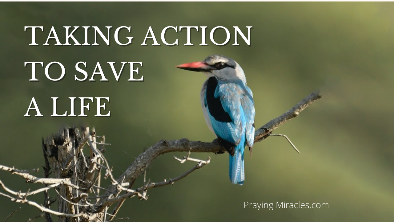 taking action