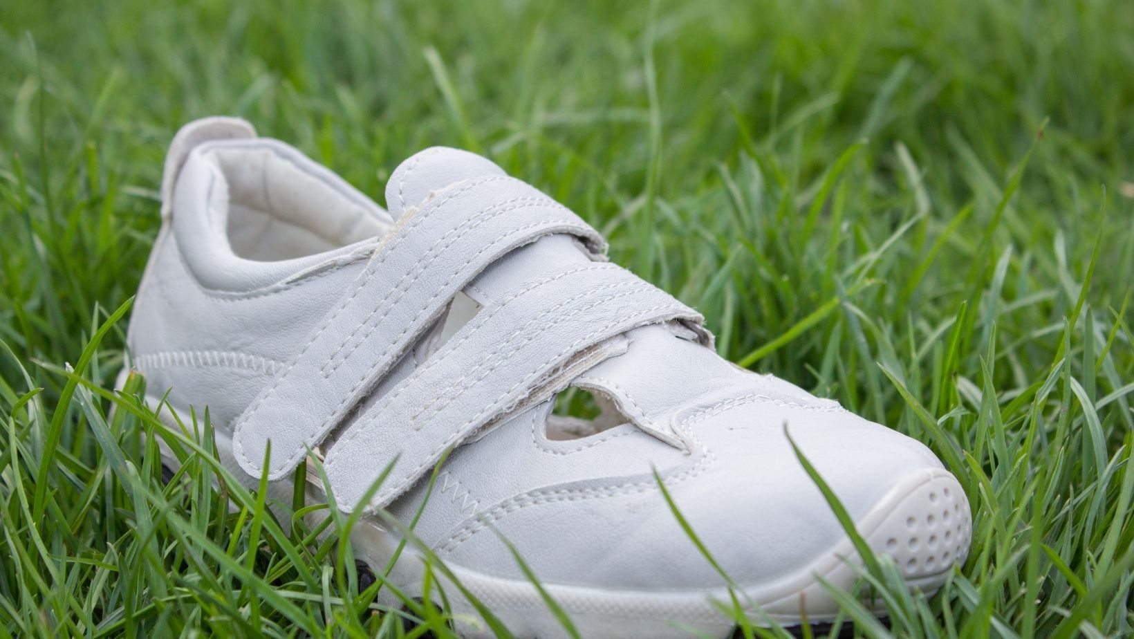 shoe on the side of the road