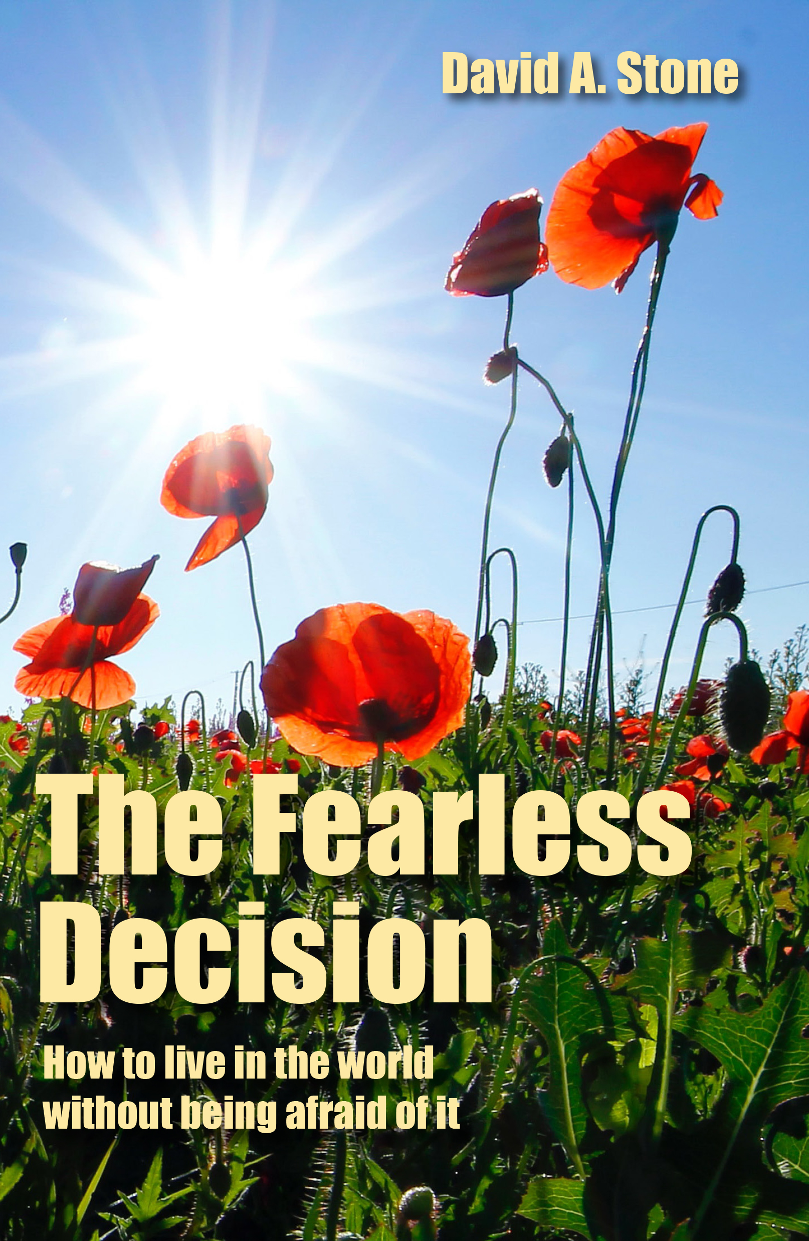 fearless decision