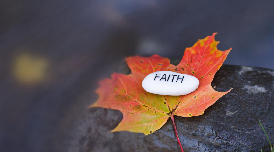 doer of the word