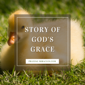 story of gods grace