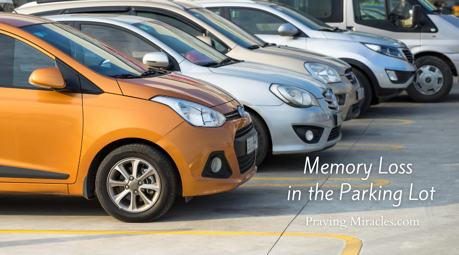 memory loss in the parking lot (1) memory loss in the parking lot