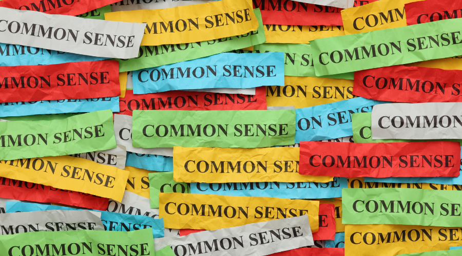 things i do not understand (4) common sense