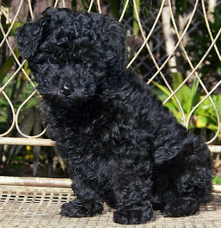 Quincy