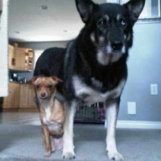 Williow and Lily