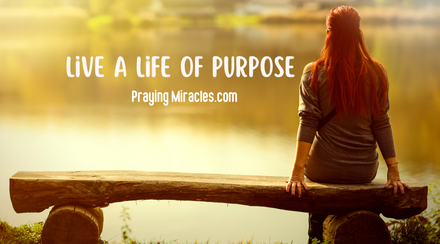a life of purpose a life of purpose