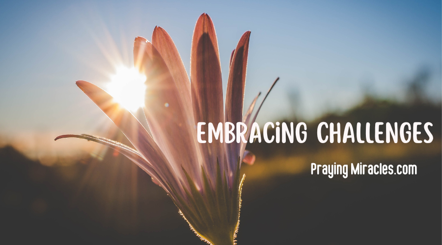 embracing challenges embracing challenges