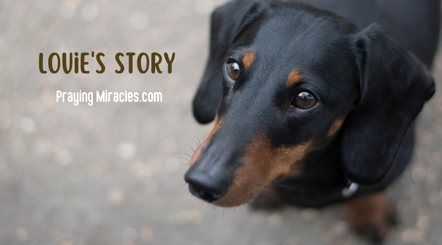 louie's story an unexpected incident