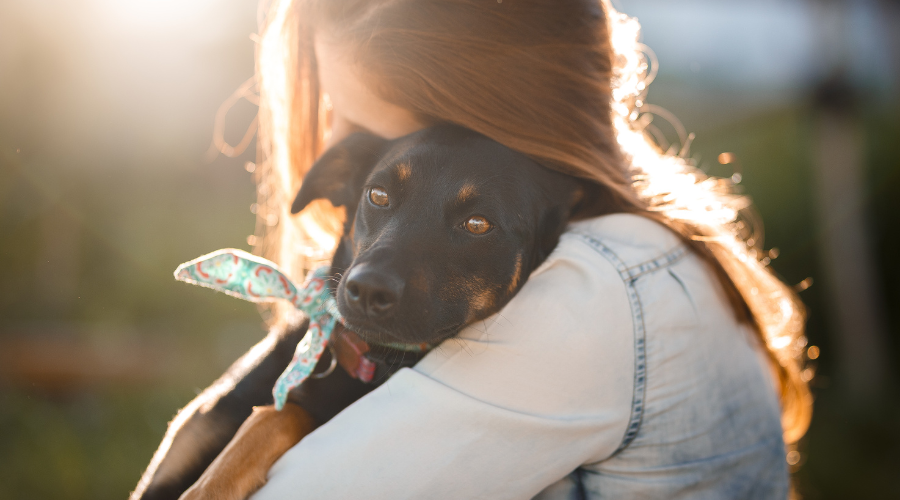 should you get a dog (12)