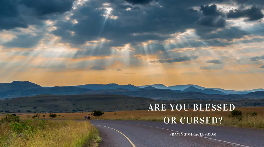 blessed or cursed blessed or cursed