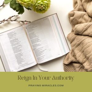 reign in your authority