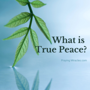 true peace