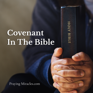 what is a covenant in the bible