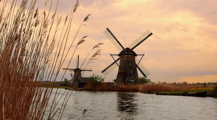 war in holland A Childhood of Courage During Nazi Occupation